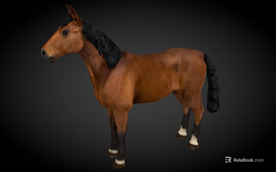 Brown Horse With Black Mane Tail And White Hooves On Dark Background 3d model 