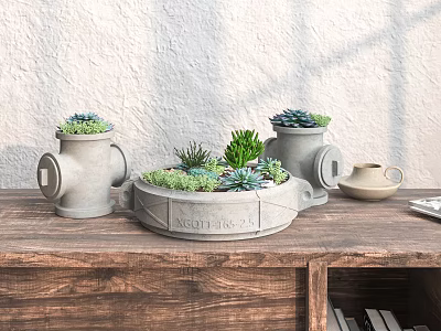Concrete Bonsai Succulent Planters On Indoor Wooden Table With Green Succulents 3d model