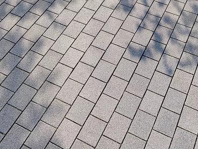 Gray Brick Paved Ground With Neatly Arranged Tiles And Tree Shadow Patterns 3d model