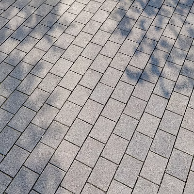 Gray Brick Paved Ground With Neatly Arranged Tiles And Tree Shadow Patterns 3d model