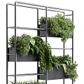 Modern Multi Tiered Metal Shelf With Lush Bonsai Potted Plants And Green Foliage