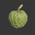 Fresh Ripe Green Custard Apple With Textured Surface And Brown Stem