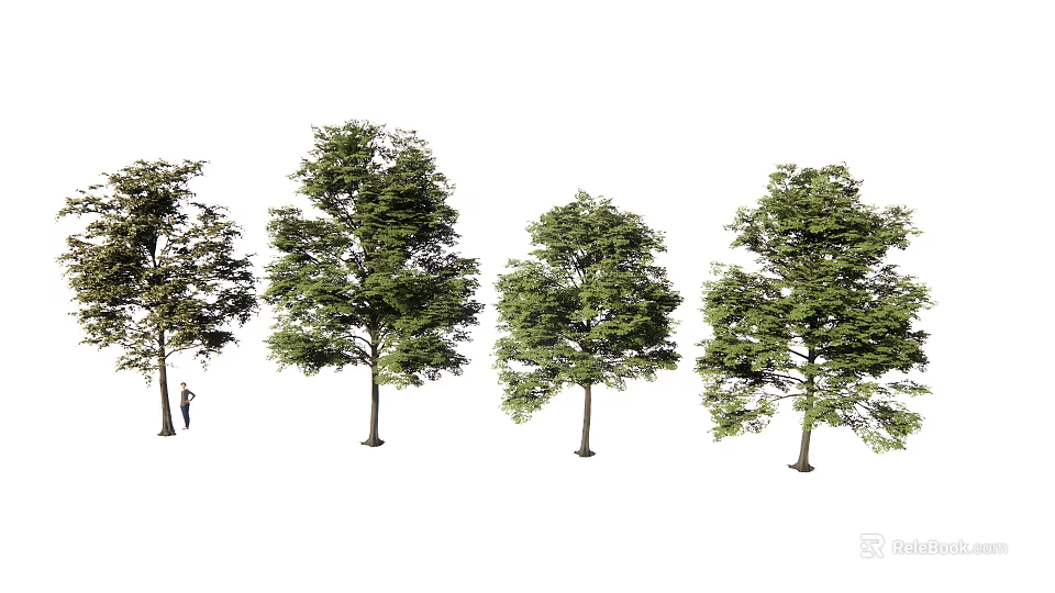 Various Arbor Trees With Different Heights And Lush Green Leaves 3d model