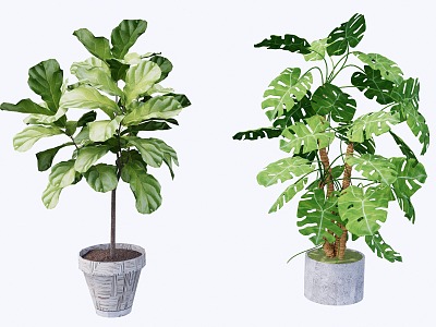 Modern indoor potted plants 3d model