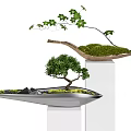 Bonsai Potted Plants In Unique Metal Containers With Moss And Small Trees On White Pedestals