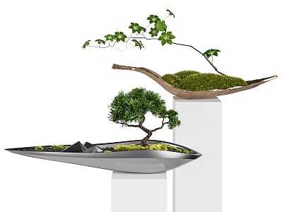 Bonsai Potted Plants In Unique Metal Containers With Moss And Small Trees On White Pedestals 3d model