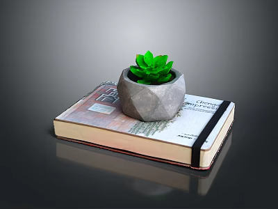 Succulent Plant In Gray Stone Pot Placed On Old Book With Green Leaves 3d model
