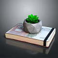Succulent Plant In Gray Stone Pot Placed On Old Book With Green Leaves