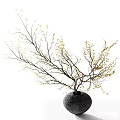 Black Ceramic Vase with Branches and Yellow Leaves on White Background Minimalist Decorative Arrangement