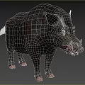 Wild Boar With Sharp Tusks Standing On Green Grass Field