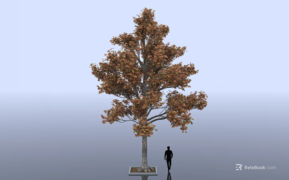 Deciduous Arbor With Brownish Red Leaves Trunk And Human Silhouette On Pedestal 3d model 