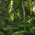 Vibrant Forest Scenery with Tall Trees Lush Green Grass and Sunlight Through Leaves