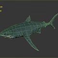 Turquoise Shark 3D Model With Open Mouth And Exposed Teeth On Gray Background With Reflection
