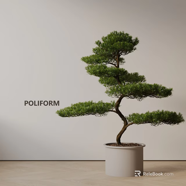 Elegant Bonsai Plant With Curved Trunk And Layered Branches In White Pot And Light Background 3d model 