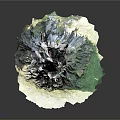 Natural Wooden Tree Stump Decoration With Detailed Texture And Green Grass Base