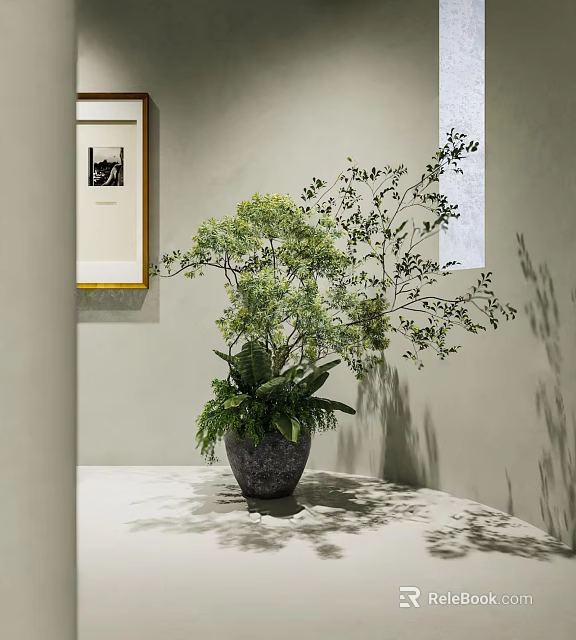 Natural Bonsai Potted Plant With Green Leaves In Dark Ceramic Pot On Light Wall Background 3d model 
