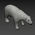 Realistic Polar Bear 3D Model With White Fur And Detailed Claws