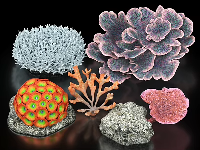 Aquatic Plants with Vibrant Colors Various Shapes Coral Like Structures and Natural Stones 3d model