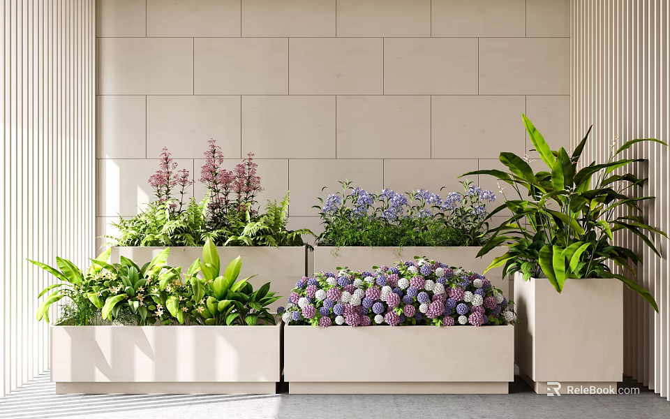 Purple Hydrangeas Pink Small Flowers And Green Plants In White Planters On Light Tile Wall 3d model 