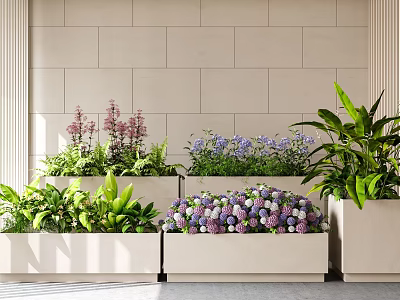 Purple Hydrangeas Pink Small Flowers And Green Plants In White Planters On Light Tile Wall 3d model