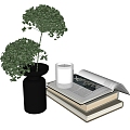 flowers and plants vase book ornaments 3d model