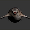 Modern Seal Marine Animal Anime Character Game Character 3d model