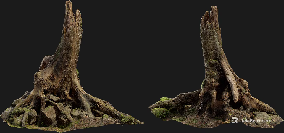Natural Stone and Wood Tree Stumps with Moss Covered Roots in Outdoor Scene 3d model 