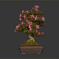 Decorative Bonsai Plant With Pink Flowers In Square Ceramic Pot And Moss