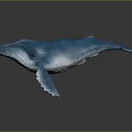 Blue Whale In Underwater Scene With Smooth Skin And Reflective Surface