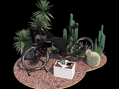 Modern Bicycle Display with Cacti Palm Plants and White Storage Box on Gravel 3d model
