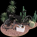 Modern Bicycle Display with Cacti Palm Plants and White Storage Box on Gravel