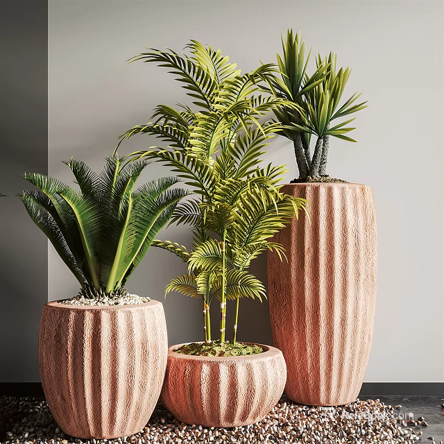 Lush Green Bonsai Plants In Striped Planters For Home Interior Decor 3d model 