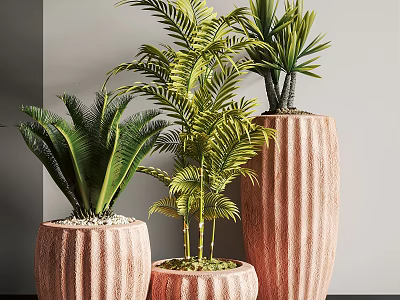 Lush Green Bonsai Plants In Striped Planters For Home Interior Decor 3d model