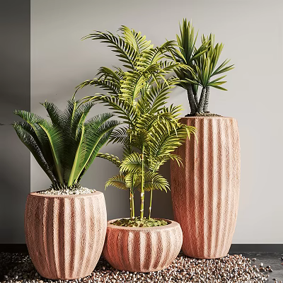 Lush Green Bonsai Plants In Striped Planters For Home Interior Decor 3d model
