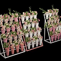 Floral Display with Multi Tiered Stands Pink White Patterned Pots and Green Foliage