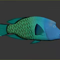 Vibrant Blue Green Aquatic Fish With Unique Scales Pattern And Detailed Body Structure