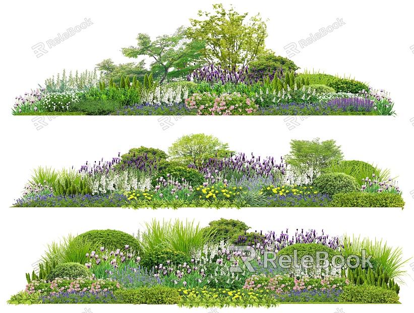 landscape shrub plant flower border plant group ornamental flowers spherical shrub community plant model