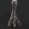 Realistic Dinosaur Claw Model With Scaly Skin Texture And Sharp Claws 3d model