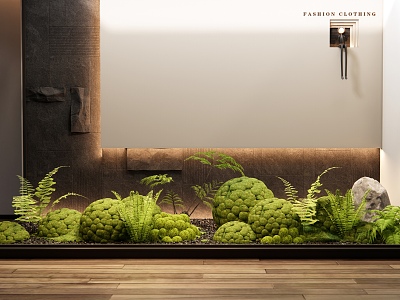 moss ball indoor plants landscaping courtyard sketch moss plant pile ferns 3d model