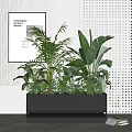 Bonsai Potted Plants with Various Green Foliage in Modern Gray Planter for Indoor