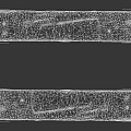 Two Natural Wood Planks With Stone Like Texture And Rough Weathered Surface