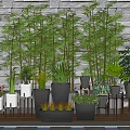 Indoor Potted Green Plants Display With Stone Wall Background And Wooden Floor