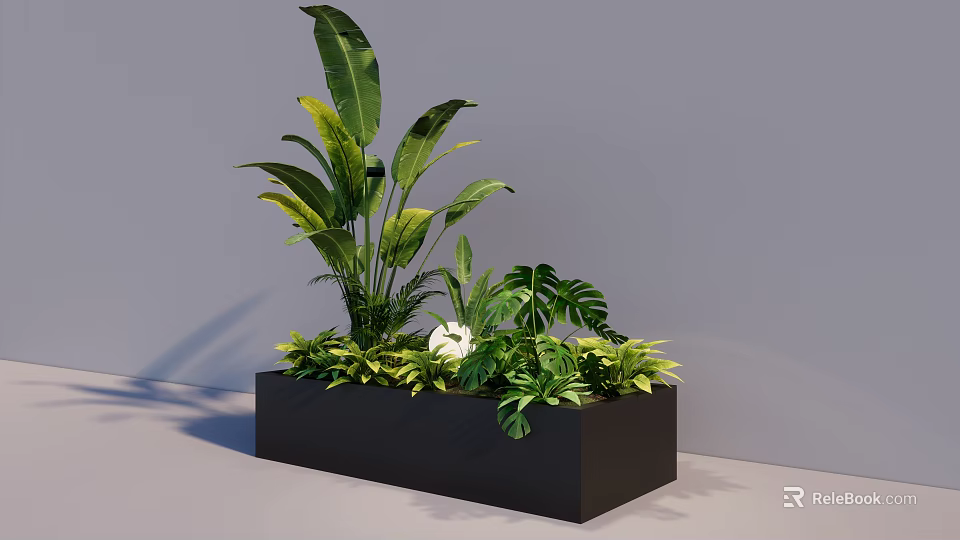 Lush Bonsai Potted Plant with Large Leaves and Ferns in Black Square Pot 3d model 