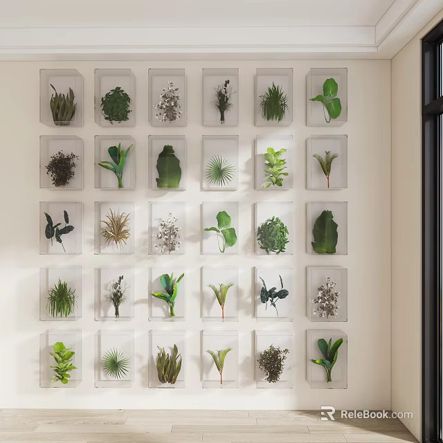Creative Plant Specimens In Glass Frames As Indoor Wall Decor Art 3d model 