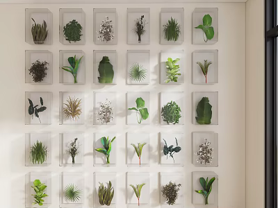 Creative Plant Specimens In Glass Frames As Indoor Wall Decor Art 3d model