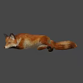 Realistic 3D Model of a Brown Fox Lying Down on Gray Background