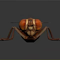 Polygonal Fly 3D Model with Large Red Eyes Transparent Wings and Detailed Legs