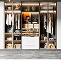 Modern Wardrobe Interior Design With Hanging Clothes Storage Boxes Decorative Items And Lighting 3d model