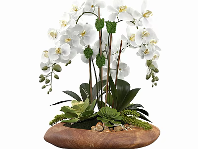 White Orchid Bonsai Plant with Green Leaves and Wooden Base Featuring Small Stones and Moss 3d model
