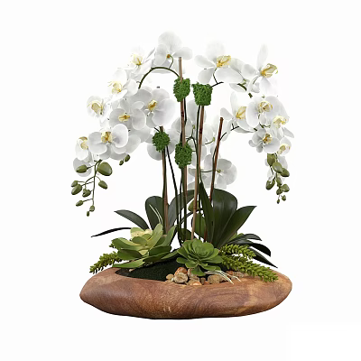 White Orchid Bonsai Plant with Green Leaves and Wooden Base Featuring Small Stones and Moss 3d model